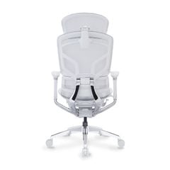 Ghế Công Thái Học Ergonomic GTChair Alien Space Grey