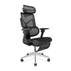 Ghế công thái học Ergonomic DERGO T09 Pro