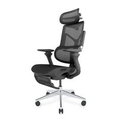 Ghế công thái học Ergonomic DERGO T09 Pro