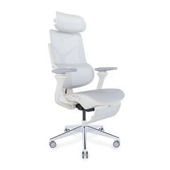 Ghế công thái học Ergonomic DERGO T09 Pro