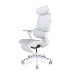 Ghế công thái học Ergonomic DERGO T09 Pro