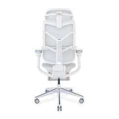 Ghế công thái học Ergonomic DERGO T09 Pro