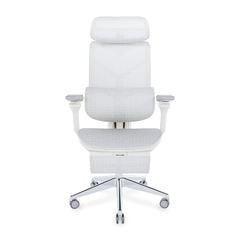 Ghế công thái học Ergonomic DERGO T09 Pro