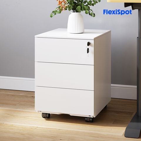  Tủ đựng văn phòng FlexiSpot RC2 