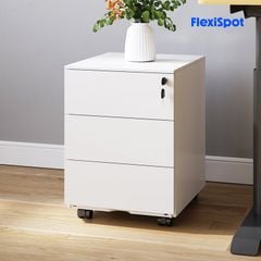 Tủ đựng văn phòng FlexiSpot RC2
