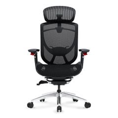 Ghế Công Thái Học Ergonomic GTChair IFIT