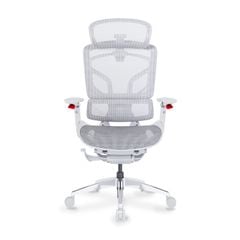 Ghế Công Thái Học Ergonomic GTChair Alien Space Grey