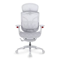 Ghế Công Thái Học Ergonomic GTChair Dvary Butterfly Ultra