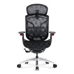 Ghế Công Thái Học Ergonomic GTChair Dvary Butterfly Ultra