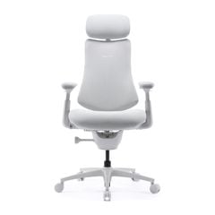 Ghế Công Thái Học LiberNovo Omni Pro