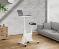 Bàn làm việc đạp xe 3in1 FlexiSpot V9-N-A