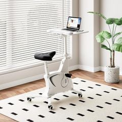 Bàn làm việc đạp xe 3in1 FlexiSpot V9-N-A