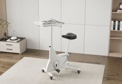 Bàn làm việc đạp xe 3in1 FlexiSpot V9-N-A