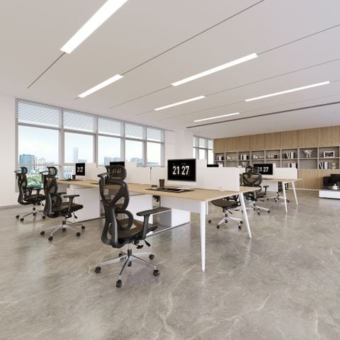  Ghế Công thái học ErgoStuhl S1 