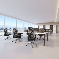 Ghế Công thái học ErgoStuhl S1