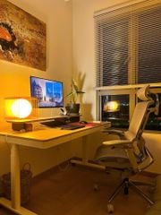 Ghế Công Thái Học Ergonomic GTChair Alien