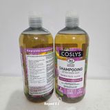  Dầu gội cho tóc dầu chiết xuất táo và ngưu bàng hữu cơ Coslys (500ml) 