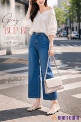 Giày Búp Bê Hạnh Dung Chấm Bi HD29220AY