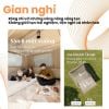 Naturehike CNK2550WS043 - Lều cắm trại Naturehike Village cao cấp