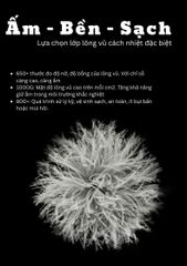 Túi ngủ lông vũ Naturehike cao cấp CNK2550WS014