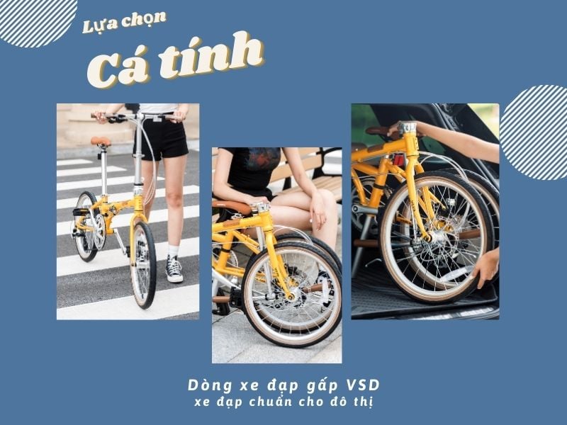 Xe đạp gấp Rockbros VDS-20 phong cách cổ điển