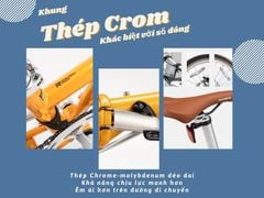 Xe đạp gấp Rockbros VDS-20 phong cách cổ điển