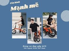 Xe đạp gấp dáng thể thao đa dụng Rockbros ACS-16M