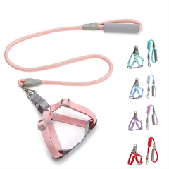 Bộ dây dắt chó Macaron ngoài trời