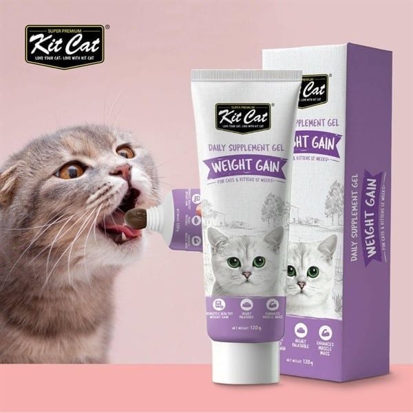 Kit Cat Daily Supplement Gel 120g Weight Gain Gel Hỗ trợ tăng cân cho mèo