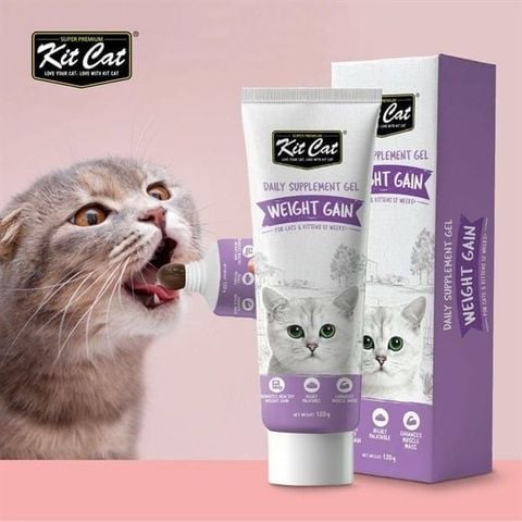 Kit Cat Daily Supplement Gel 120g Weight Gain Gel Hỗ trợ tăng cân cho mèo