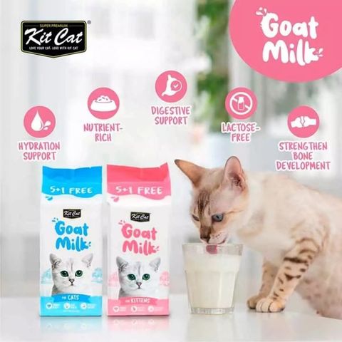 Sữa dê Kit Cat Goat Milk Không Lactose 50ml