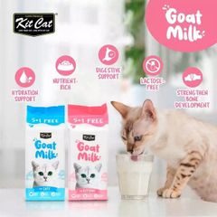 Sữa dê Kit Cat Goat Milk Không Lactose 50ml