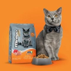 Minino Plus® Adult Chicken-Fish-Rice - Hạt cho mèo trưởng thành Vị Gà, Cá Và Gạo