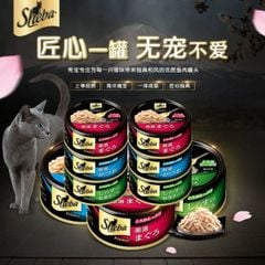 Sheba CN Premio™ 75g - Thịt hộp nấu sốt cho mèo