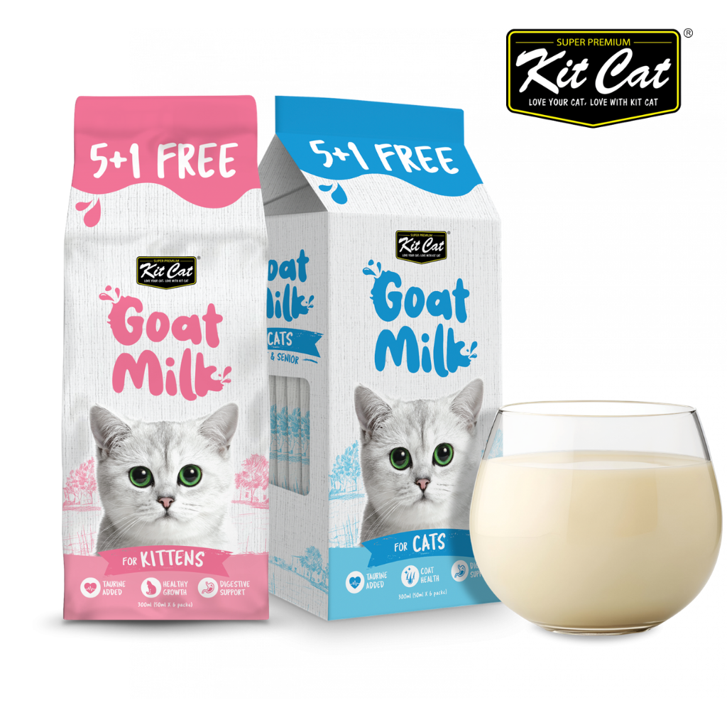 Sữa dê tươi uống liền Kit Cat Goat Milk Không Lactose cho mèo