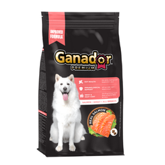 Ganador Premium Salmon & Rice Thức Ăn Hạt Cho Chó Lớn Vị Cá Hồi & Gạo