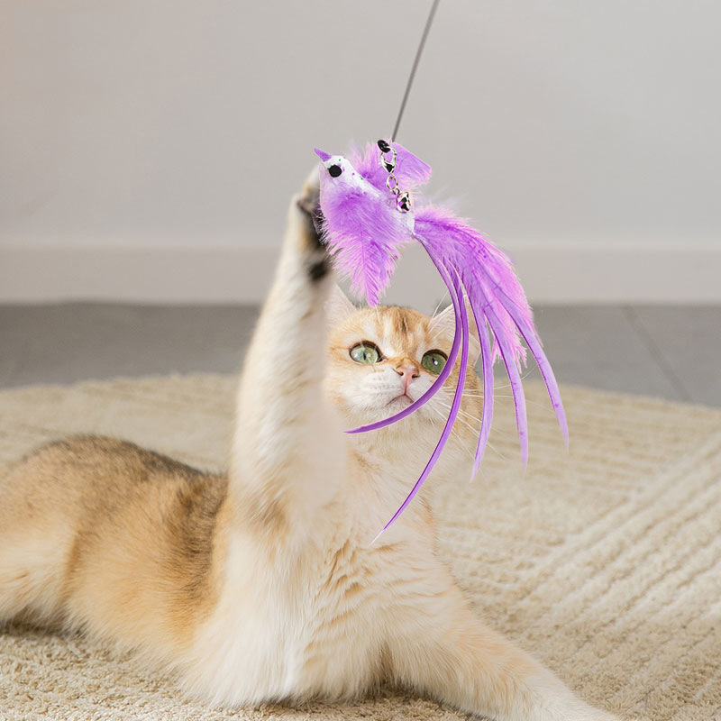 Đồ chơi cho Mèo Cần câu thép dẻo bền, cán ngắn