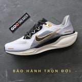  Giày Nike Pegasus 41 Metallic Gold/Light Smoke Grey 