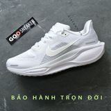  Nike Pegasus 41 White Pure Platinum 