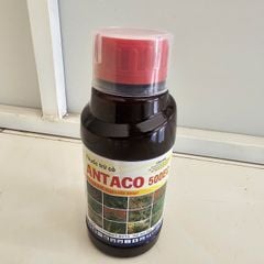 ANTACO 500EC