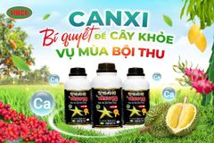  VINCO 79 - Phân Bón Trung Lượng Hữu Cơ  - Giúp tăng năng suất cây trồng 20% trở lên - Nhập khẩu từ Hàn Quốc - Giao Hàng Toàn Quốc