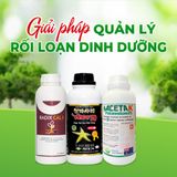 Phân Bón Trung Lượng VINCO 79 - Giải Pháp Tăng Năng Suất Vượt Trội