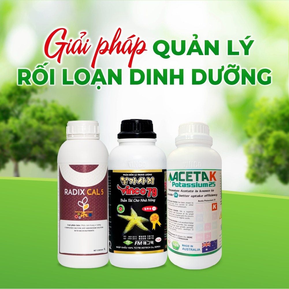 Phân Bón Trung Lượng VINCO 79 - Giải Pháp Tăng Năng Suất Vượt Trội