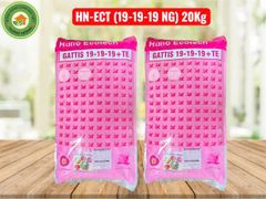 Phân Bón Nhỏ Giọt HN-ECT (19-19-19 NG) 20KG – GATTIS 19-19-19 + TE