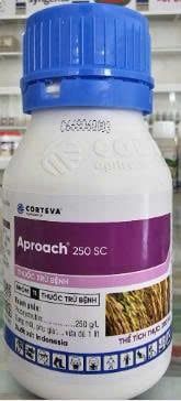 Aproach 250SC - Thuốc trừ bệnh lem lép hạt, đạo ôn, khô vằn, thán thư - Xuất xứ Indonesia.