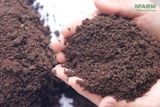 Phân Trùn Quế Cao Cấp SFARM PB01 - ảnh 3