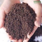 Phân Trùn Quế Cao Cấp SFARM PB01 - ảnh 2