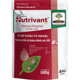 Nutrivant Rice – Phân bón lá PK Israel, tăng năng suất lúa - ảnh 1