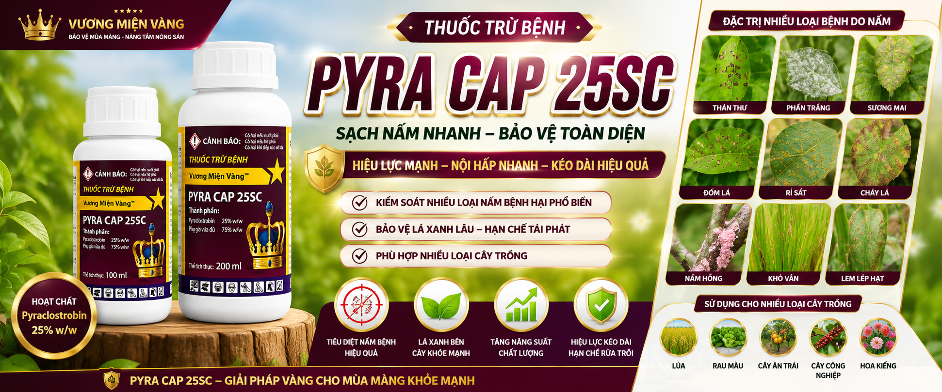 PYRA CAP 25SC – Thuốc Trừ Bệnh Phổ Rộng Hiệu Quả Cao Trên Nhiều Loại Cây Trồng - Thuốc BVTV