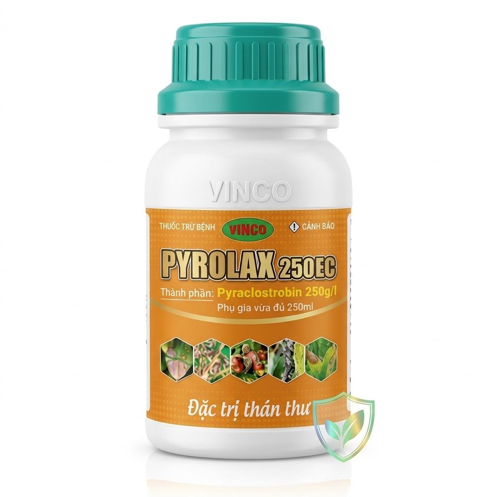 PYROLAX 250EC - GIẢI PHÁP VƯỢT TRỘI - ĐẶC TRỊ THÁN THƯ TRÊN CÂY ĂN QUẢ VÀ RAU MÀU. - Thuốc Trừ Bệnh Thán Thư